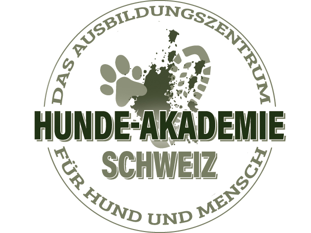 2-Tages-Wanderung mit dem Thema „Hunde-Frisbee“